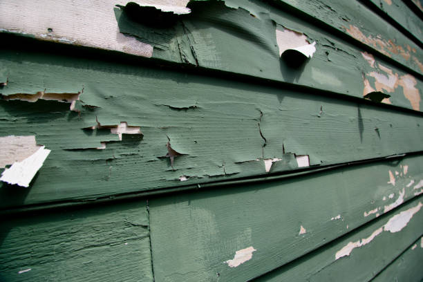 Best Residential Junk Removal  in Level Plains, AL